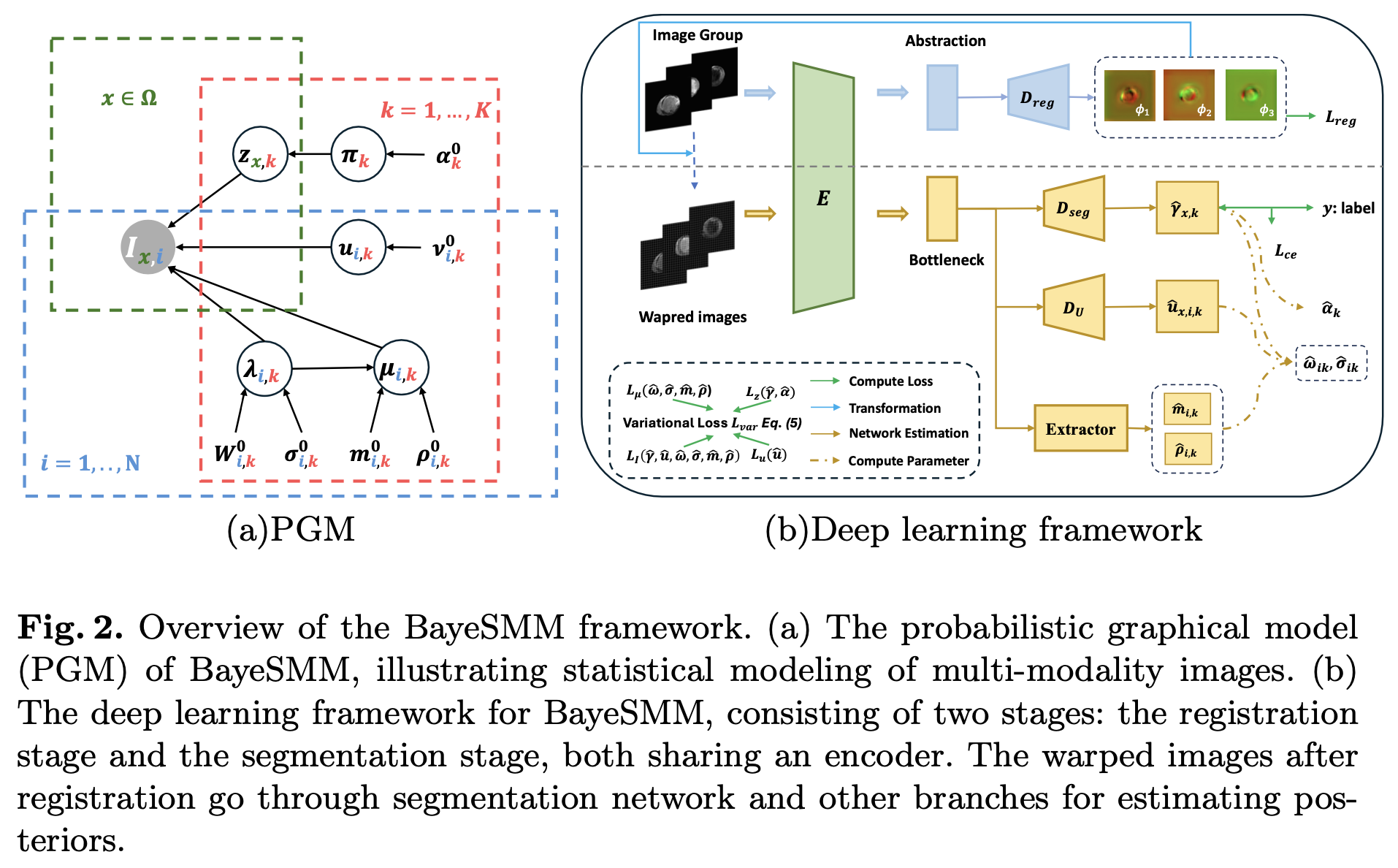 Image Registration and Segmenetation MICCAI 2025